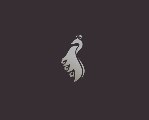 HOW TO INSTALL SEREN ON KODI