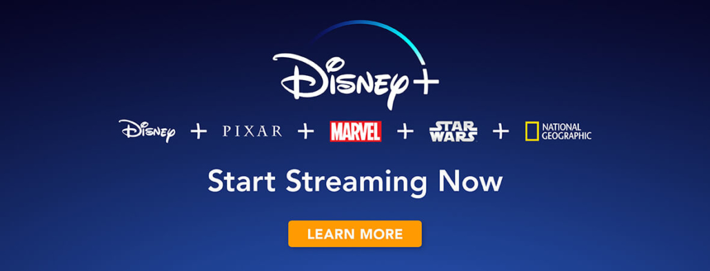 Disney+ streaming service will tolerate password sharing for now