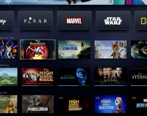 Disney+ password sharing among users is tolerated by Disney Preview