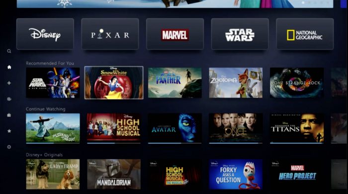 Disney+ password sharing among users is tolerated by Disney Preview